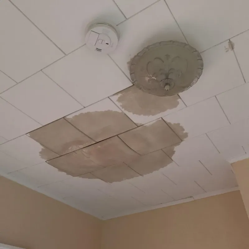 Ceiling Water Damage Repair in Blount County, AL