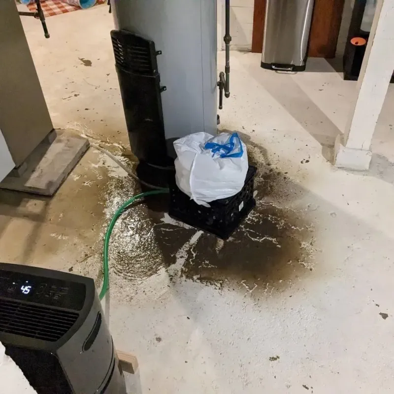Sewage Backup Cleanup Service in Blount County, AL